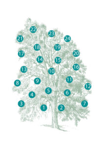 How to order our classic family tree