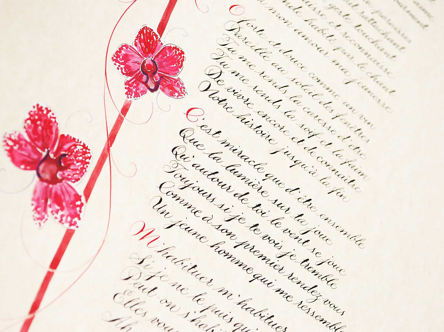 Orchid illustration for a calligraphy poem commission in French. 