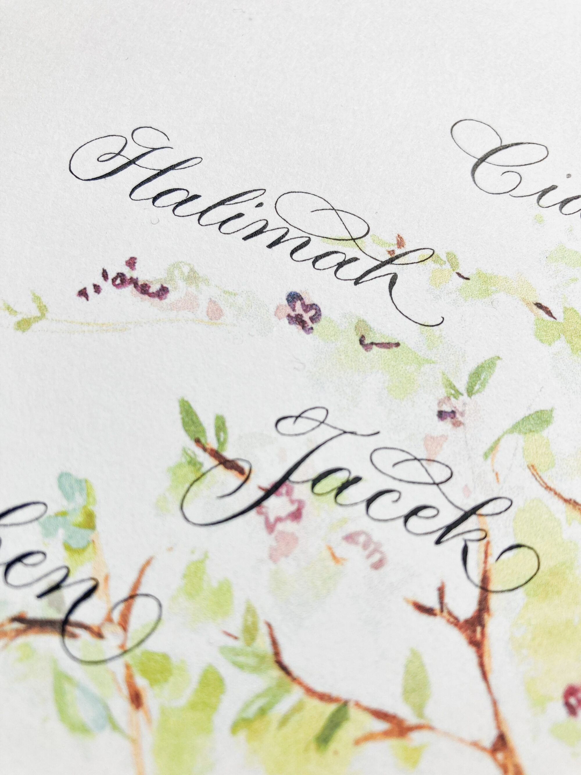 elegant modern calligraphy close up of names on a personalised family tree