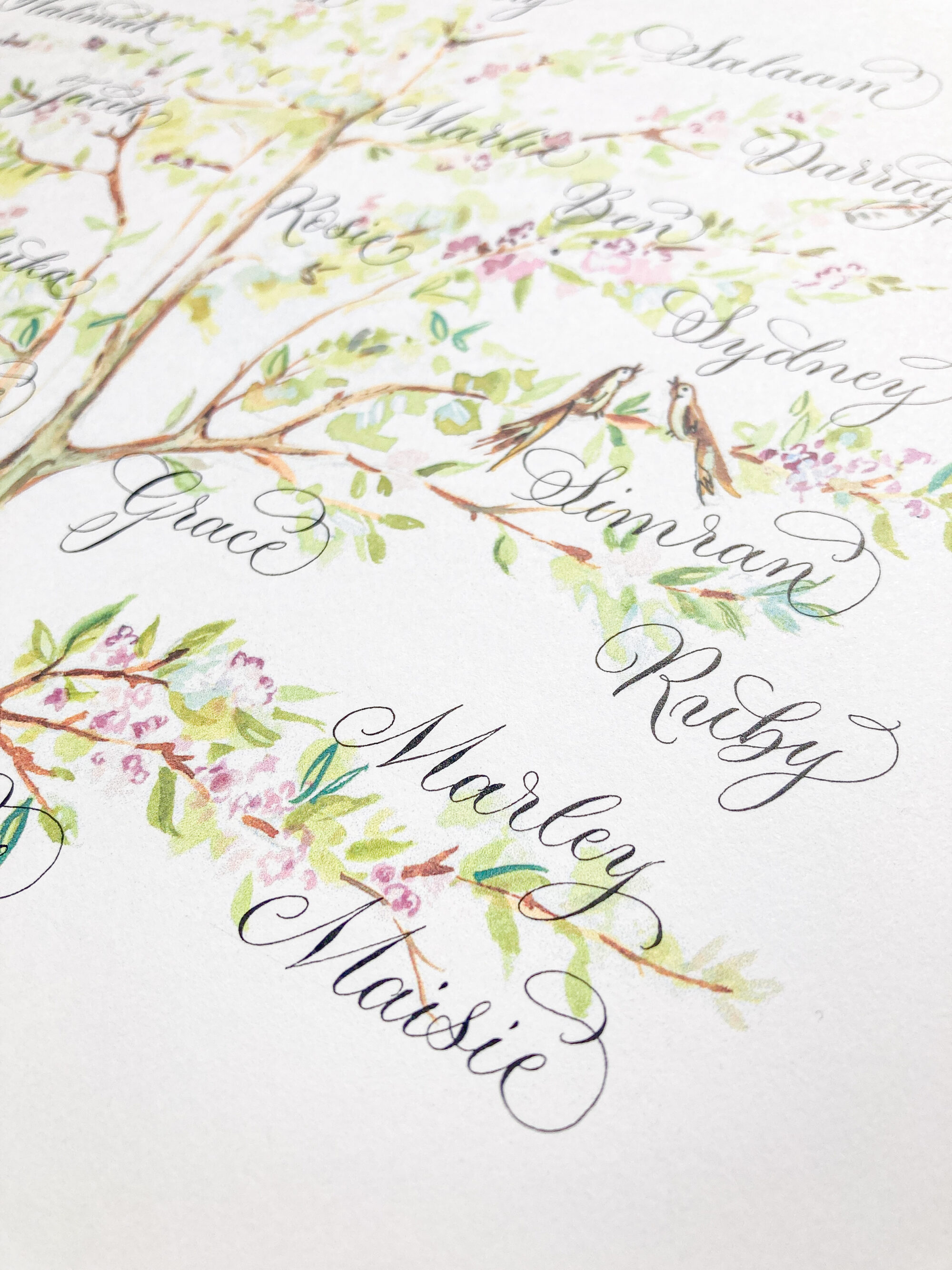 Detail of a family tree with light green leaves and pink blossom, with hand painted birds. Artwork by Amy Swann and calligraphy by Claire Gould